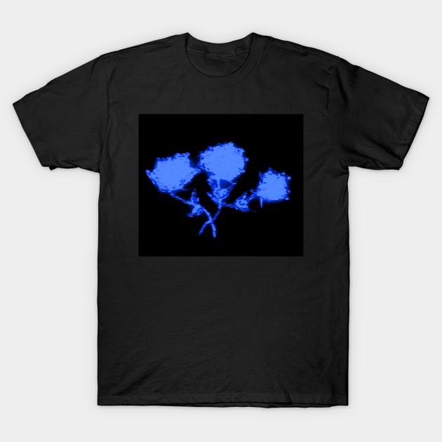 BLUE GLASS ROSES T-Shirt by neilstuartcoffey